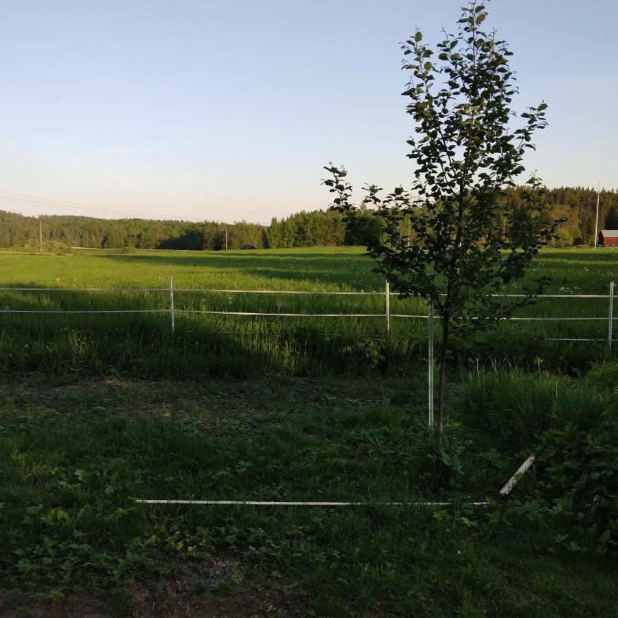 Countrycabin Bergslagen Stuga Ramsberg 外观 照片